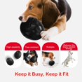 thumbnail image 4 of GHSDFBB Fillable Dog Chew Toy Interactive Dog Slow Feeder for Chew Fetch Chase and Catch Large Size Food Grade TPR Dog Toy for Large Medium Dogs (Black), 4 of 6