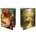 thumbnail image 1 of Dungeons & Dragons Class Folio with Stickers: Bard, 1 of 1
