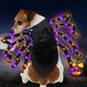 thumbnail image 2 of 24 Led Spider Dog Disfraz De Halloween Para Perros Pequeños Medianos Grandes, Peluda Araña Gigante Con Naranja Púrpura Luces Cachorro Mascota Disfraz Trajes Ropa Divertida kaili Sencillez, 2 of 5