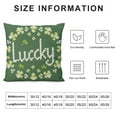 thumbnail image 6 of ONETECH  ST Patricks Day Throw Pillow Covers Happy ST Patricks Day Decor Loads of Luck Lucky Shamrock Blessed Hat Decorative Pillowcases Cushion Covers for Sofa Livingroom Bed 2pc, 6 of 6