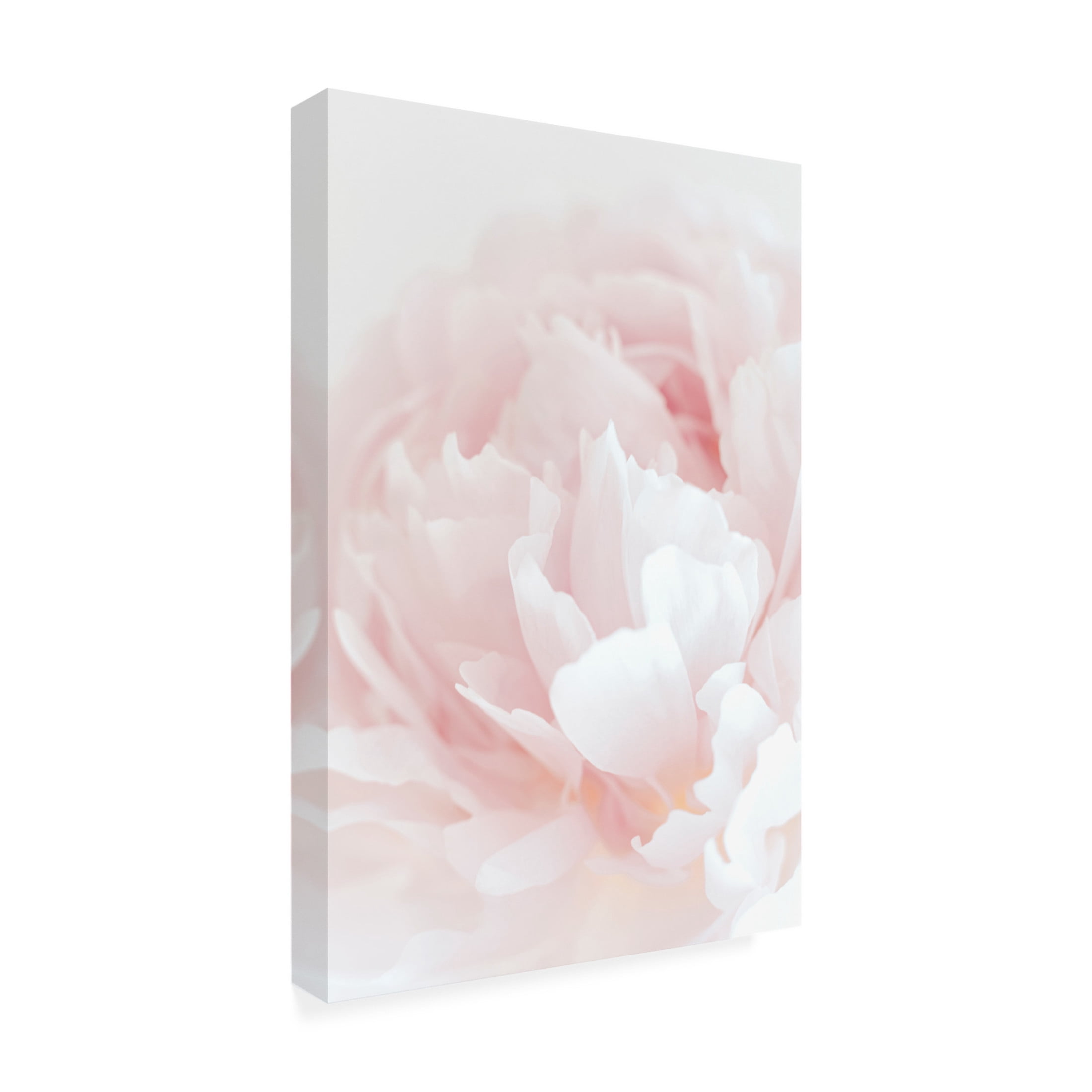 Trademark Fine Art Pictufy Studio III Peony 05 Canvas Wall Art