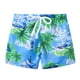 thumbnail image 1 of Pantalones Cortos De Entrenamiento Deportivo Para Niños, Pantalones Cortos Estampados Informales De Verano Para Niños, Pantalones De Playa Con Cintura De Goma Odeerbi LM103-1844, 1 of 8