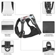 thumbnail image 4 of Bingfone London Landmark2 No Pull Dog Vest Harness for Small Medium Large Dogs Strap for Puppy Walking,Training,Dog Harness-Large, 4 of 7