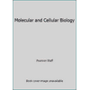 Molecular and Cellular Biology (Textbook Binding - Used) 1269382446 9781269382441