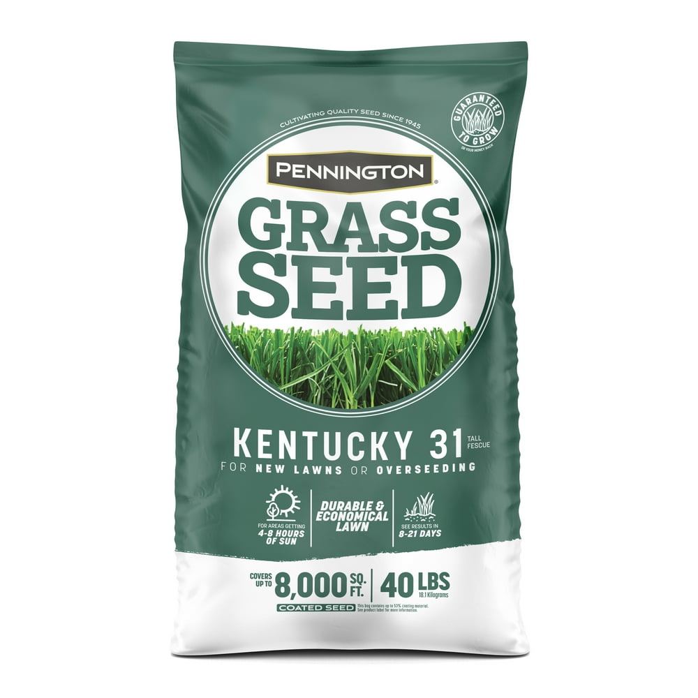Pennington Kentucky 31 Tall Fescue, KY31 Grass Seed; 40 Pound Bag