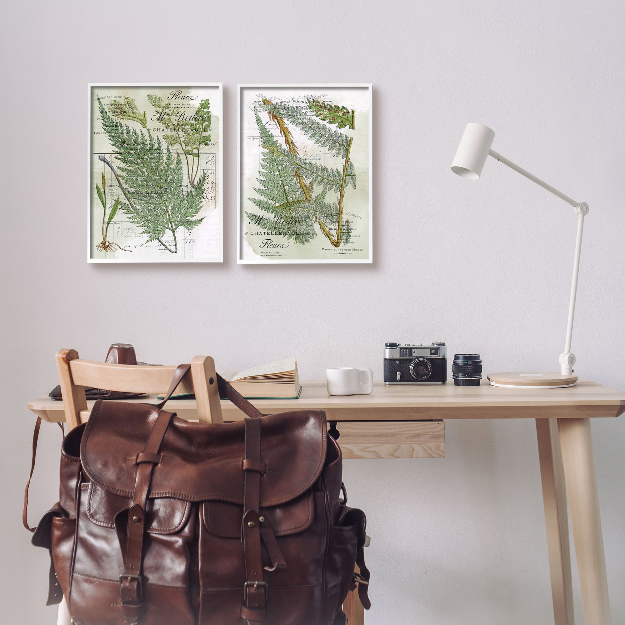Stupell Woodland Fern Botanical Latin Study Botanical & Floral Painting White Framed Art Print Wall Art, Set of 2