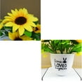 thumbnail image 5 of Hxlamzoo Artificial Sunflower Potted Plant with Plastic Vase - 20x20cm Realistic Home Decor for Indoor, Office, and Events, 5 of 6