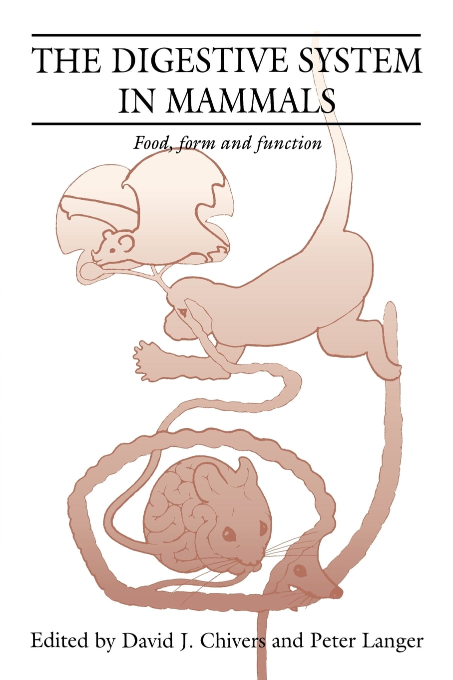 The Digestive System in Mammals (Paperback) - Walmart.com - Walmart.com