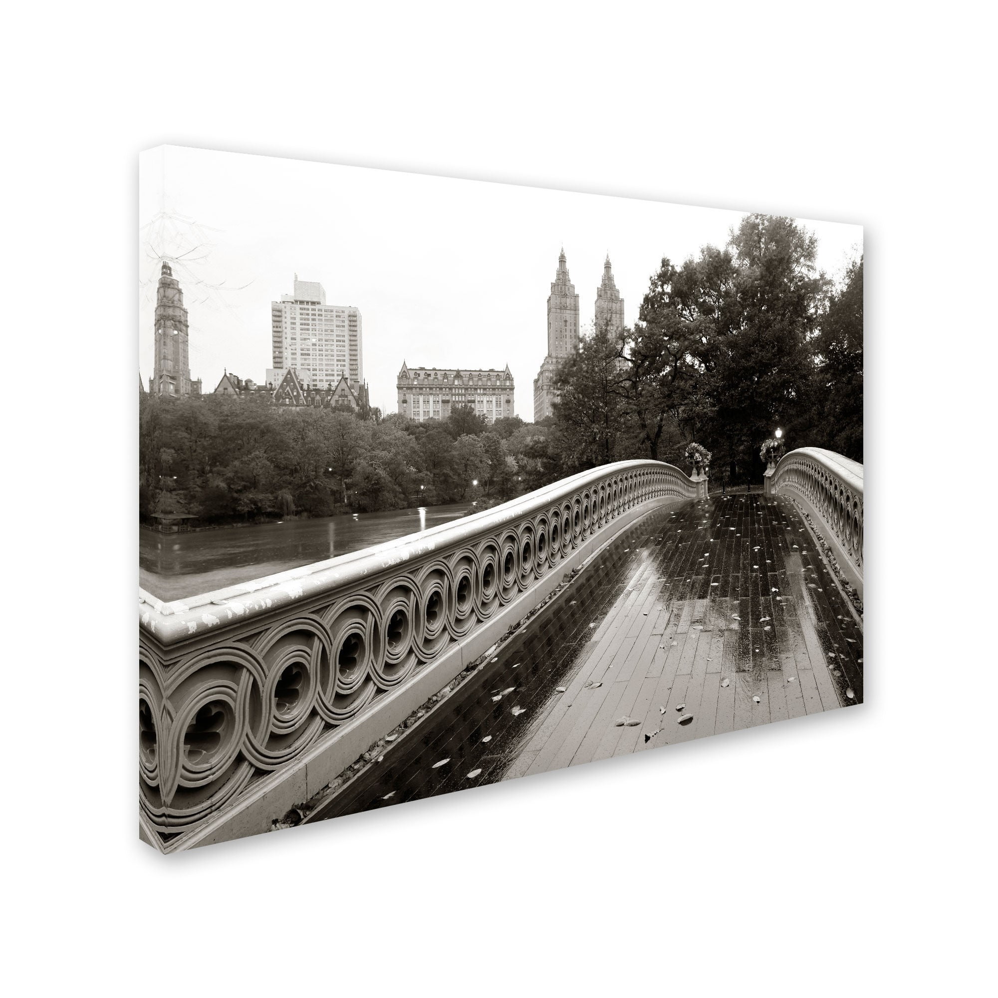 Trademark Fine Art "Bow Bridge 2010" Canvas Art by Chris Bliss