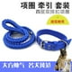 thumbnail image 4 of El producto se puede personalizar. Correa para perros, perros medianos y grandes, cadena para perros, collar, perro que pasea golden retriever, correa, perro, 4 of 5