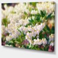 thumbnail image 2 of Belles Fleurs Blanches en Fleurs - Impression sur Toile Florale, 2 of 4