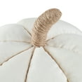 thumbnail image 5 of Way to Celebrate Shaped Velvet Pumpkin, Ivory, 5 of 5