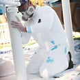thumbnail image 5 of DuPont Tyvek XL No Elastic Disposable Coverall, 5 of 5