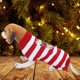 thumbnail image 2 of Dog Clothes Reindeer Dog Sweater for Small Pet for Puppy Small Dogs ANGGREK Otros, 2 of 8