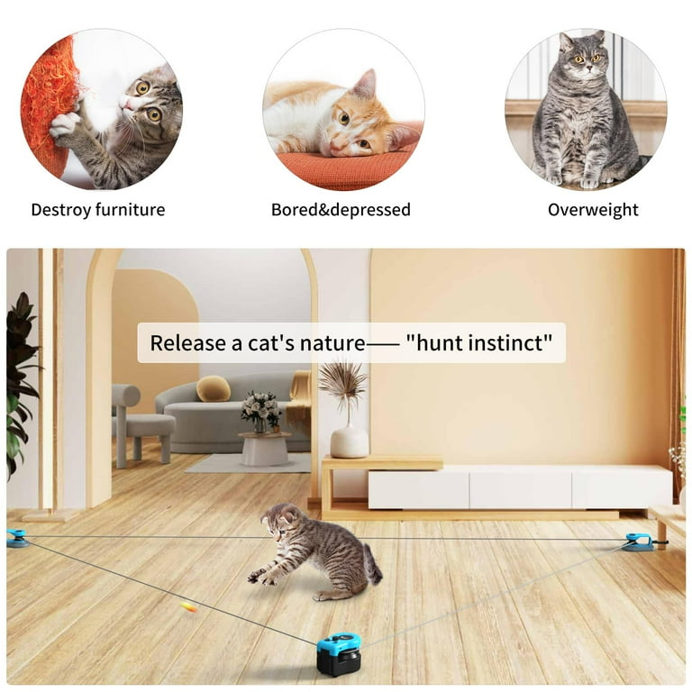 Free Shipping! Pet Deluxe Interactive Cat Toy for Indoor Cats