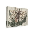 thumbnail image 2 of Trademark Fine Art 'Rustic Floral III' Canvas Art by Studio W, 2 of 4