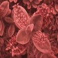 thumbnail image 1 of Ahgly Company Tapis d'Intérieur Lavable en Machine Carré Rouge Tomate, 5 Pieds Carré, 1 of 7