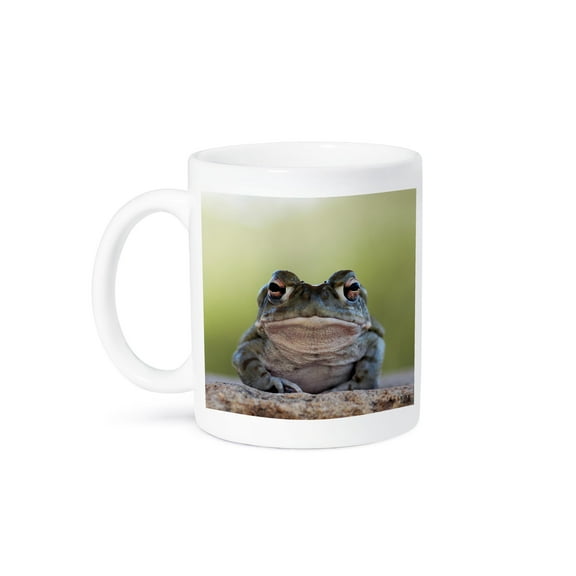 3dRose, Sonoran desert Toad, Bufo alvarius, 11oz Mug