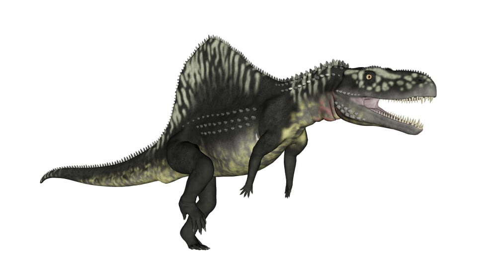 Arizonasaurus dinosaur Canvas Art - Elena DuvernayStocktrek Images (37 x 21)