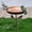 D, variant on chaungfeng Metal Bird Bath for Outside with 2 Bird Decor, Hummingbird on Pole & Sparrow on Bowl, Garden Birdbath, 10 Inch Antique Bronze Freestanding Birdfeeder Bath for Yard Patio