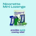 thumbnail image 4 of Nicorette Mini Nicotine Lozenges Stop Smoking Aid 2 Mg Mint - 81 Ct, 4 of 11