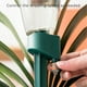 thumbnail image 4 of Sistema de Riego Por Goteo para Plantas de Interior | Riego Automático de 0 a 60 Segundos Por Gota | Kit de Riego Automático para Macetas con Florero | Regadera Automática para Casa, Viajes y Negocio, 4 of 5