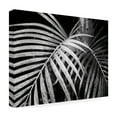 thumbnail image 4 of Trademark Fine Art 'Palm Fronds Black And White' Canvas Art by Debra Van Swearingen, 4 of 4