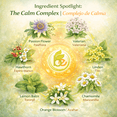 thumbnail image 3 of 7 Azahares Herbal Tea – 4 oz Loose Leaf Calming Tea Blend – Passion Flower, Valerian, Linden, Orange Blossom, Lemon Balm & More – 100% Natural, Vegan, Non-GMO, Caffeine-Free, 3 of 17