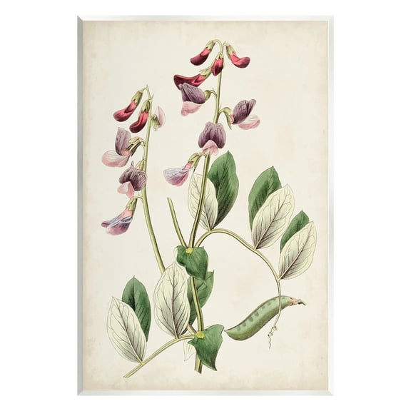 Stupell Industries Vintage Foxglove Study Botanical & Floral Painting Unframed Art Print Wall Art, 10 x 15