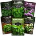 thumbnail image 7 of 5 Packs Hydroponic Herb Seed - Sage, Peppermint, Parsley, Chives, Cilantro, Basil - Full Sun Annual & More, 7 of 7