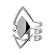 thumbnail image 2 of Anillo para Mujer Acero Inoxidable LuckyLy Diseño Moderno Ligeramente Ajustable Modelo Jasmine Plateado 7, 2 of 6