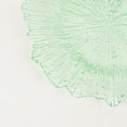 thumbnail image 5 of BalsaCircle 24 Green 13" Acrylic Wooden Textured Round Reef Acrylic Charger Plate, 5 of 6