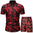thumbnail image 1 of Birdeem Men Print Buttons Short Sleeves Casual Beach T-Shirt Tops Lacing Shorts Set, 1 of 3