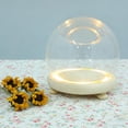 thumbnail image 4 of Raindrops Spring Holder Dome for Presentation 1Set, 4 of 6