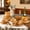 Amber, variant on 8, 24 Pieces Stoneware Plates and Bowls Sets, Scratch Resistant Dishes, Dishwasher & Microwave Safe, Reactive Glaze-Green Wheat