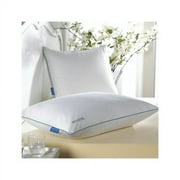 Carpenter Co. IsoCool Bed Polyfill Pillow (2 Count)