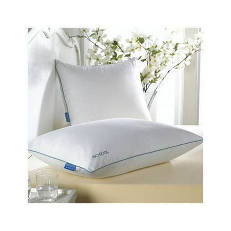 Carpenter Co. IsoCool Bed Polyfill Pillow (2 Count)
