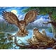 thumbnail image 1 of Cuadros Decorativos 5D bricolaje completo taladro diamante pintura pájaro familia bordado artesanía costura decoración Ehuebsd  Nuevos Originales, 1 of 9