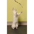 thumbnail image 4 of Cat Dancer Rainbow Charmer Cat Toy, 4 of 6