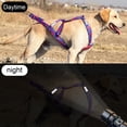 thumbnail image 4 of Pebbuoy Reflective Dog Sledding Harness Thickened Soft Design Size Adjustable Double Protection Dog Chest Harness, 4 of 7