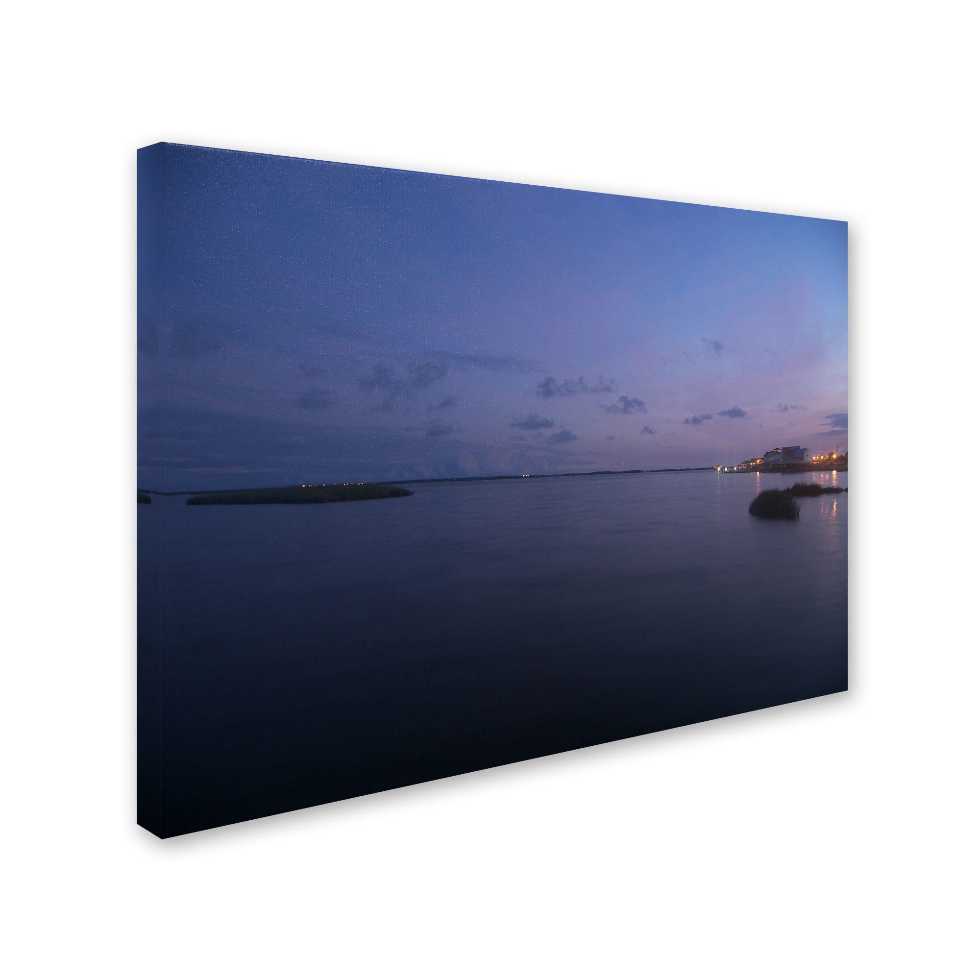 Trademark Fine Art "Pure Elegance" Canvas Art by Monica Fleet