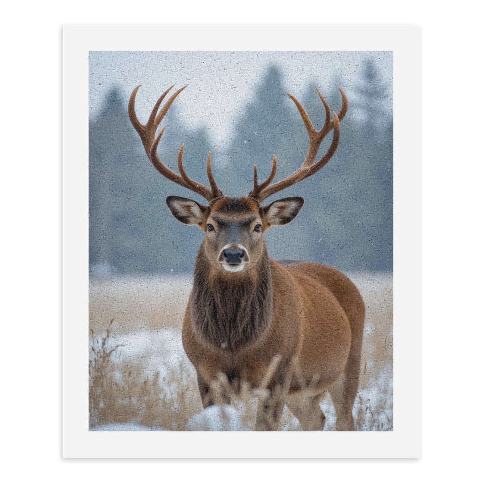 Paint by Numbers Kit for Adults, Snowy Forest Majestic Deer Paint by Numbers, Easy Paint by Numbers Kit for Adults Beginner, DIY Adult Paint by Number Kits on Canvas, Home Decor