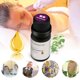 thumbnail image 2 of Humidificador de aromaterapia de 10 ml de aceites esenciales para difusor de aroma (sándalo) Tmvgtek Oficina Multiescena Multifunción, 2 of 7