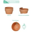 thumbnail image 6 of 8 Inch Terracotta Shallow Succulent Pot - 2 Pack Large Terra Cotta Clay Pots with Drainage, Cacuts Terra-Cotta Indoor and Outdoor Planters with Drainage Hole, 6 of 7