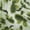Light Green, variant on oneOone Polyester Spandex Light Green Fabric Abstract-Blurred Floral Pattern Craft Projects Decor Fabric Printed By The Yard 56 Inch Wide