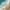 Teal Blue, variant on Alishomtll Modern Teal Blue Geometric Rod Pocket Light Filtering Kitchen Valances, 52" x 18"