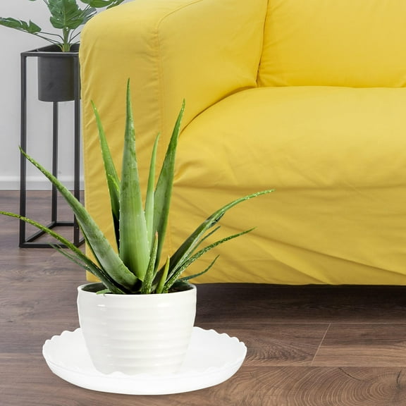 DRAFIDEEP 12Pcs Round Plastic Plant Saucer for Indoor Gardening White 30x30in