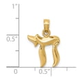 thumbnail image 3 of 14K Yellow Gold Charm Pendant 19 mm 13 Chai, 3 of 3