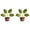 Green*2, variant on olkpmnmk 1Pc Chip Bag Clips, Tree Shaped Bag Clip, Foods Snacks Bag Clamps Sealing Bar, Refrigerator Magnet Clips, Funny Kitchen Snack Bag Sealer Clip for Airtight Seal Food Storage, Green