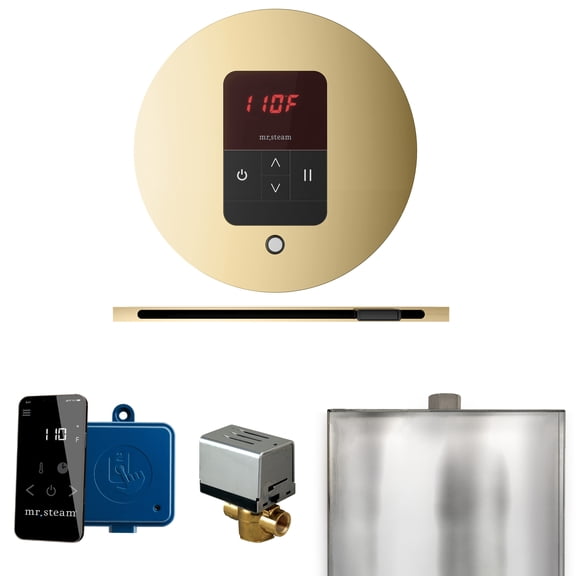 Mr Steam Basic Butler Steam Shower Pkg w/Round iTempo Control and Linear Steamhead in Polished Brass